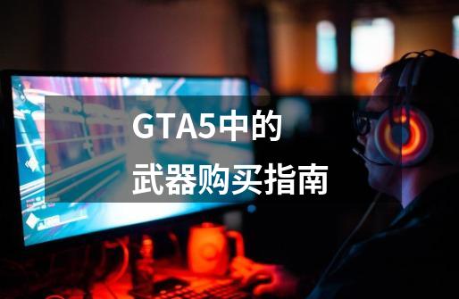 GTA5中的武器购买指南-第1张-游戏相关-大福途网
