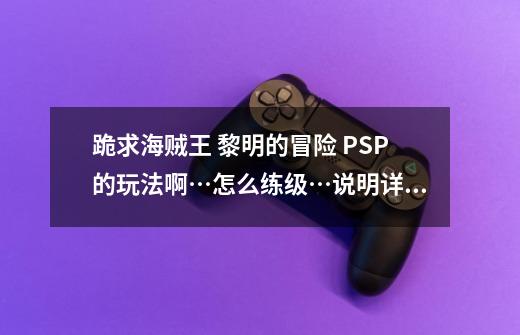 跪求海贼王 黎明的冒险 PSP的玩法啊…怎么练级…说明详细点~最好有自己的经验……,psp海贼王无尽的冒险-第1张-游戏相关-大福途网