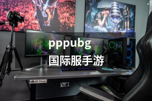 pppubg国际服手游-第1张-游戏相关-大福途网