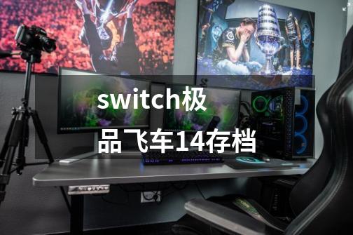 switch极品飞车14存档-第1张-游戏相关-大福途网