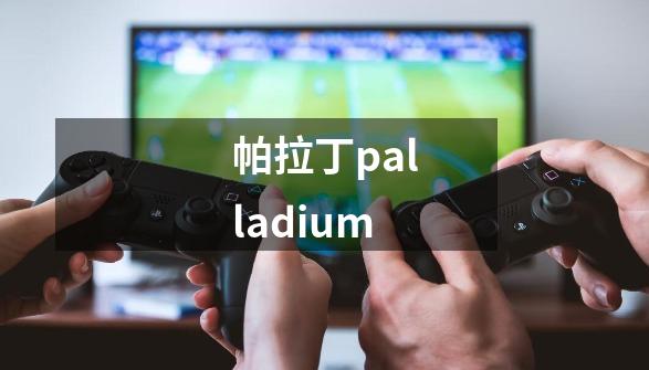 帕拉丁palladium-第1张-游戏相关-大福途网