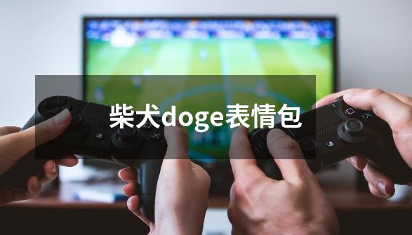 柴犬doge表情包-第1张-游戏相关-大福途网