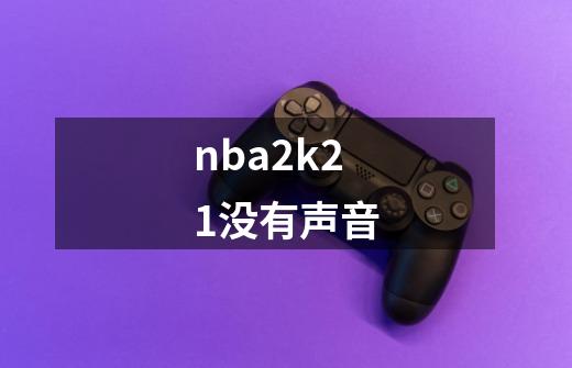 nba2k21没有声音-第1张-游戏相关-大福途网