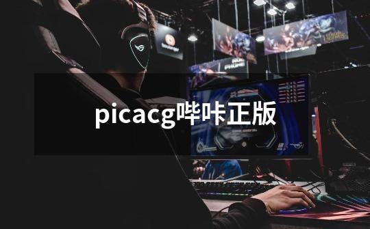 picacg哔咔正版-第1张-游戏相关-大福途网