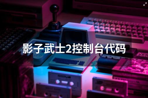 影子武士2控制台代码-第1张-游戏相关-大福途网