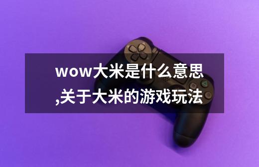 wow大米是什么意思,关于大米的游戏玩法-第1张-游戏相关-大福途网