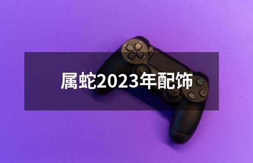 属蛇2023年配饰-第1张-游戏相关-大福途网