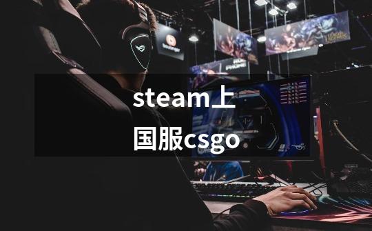 steam上国服csgo-第1张-游戏相关-大福途网