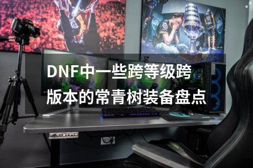 DNF中一些跨等级跨版本的常青树装备盘点-第1张-游戏相关-大福途网