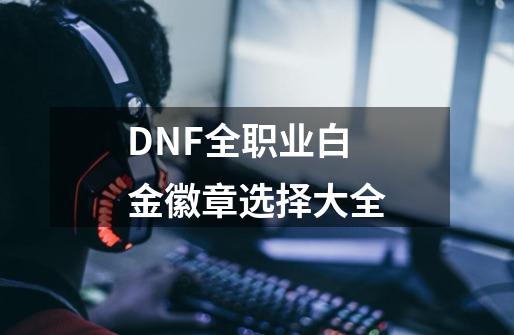 DNF全职业白金徽章选择大全-第1张-游戏相关-大福途网